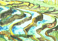 Reisfelder - Bali, 1995, Aquarell, 61,5x85 cm