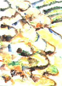 Reisterrassen, 1995, Aquarell, 85x61,5 cm